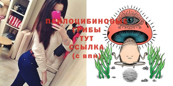 кристаллы Богданович