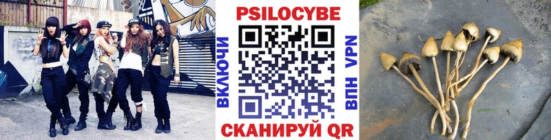Псилоцибиновые грибы Psilocybe  Болотное 